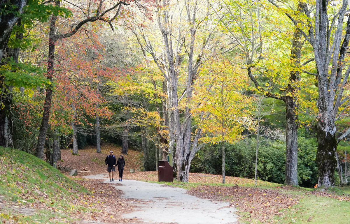 Fall Colors 1